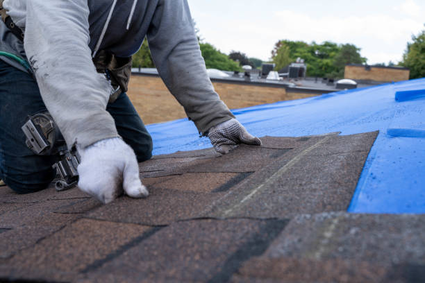 Quick and Trustworthy Emergency Roof Repair Services in Elm City, NC