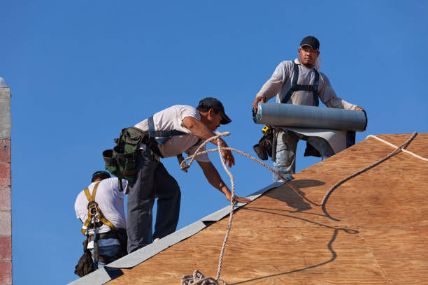 Reliable Elm City, NC Roofing Contractor Solutions