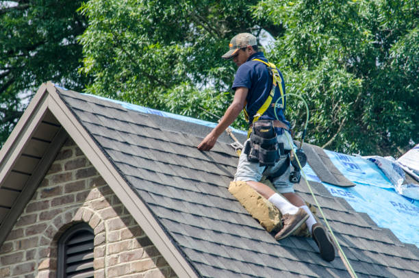 Best Residential Roofing Contractor  in Elm City, NC